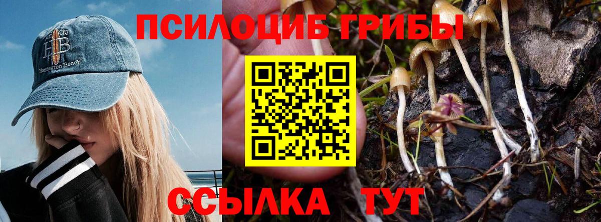Нижневартовск  Псилоцибиновые грибы мицелий  Вход с VPN 